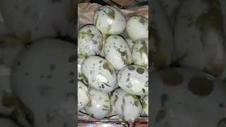 пасхальный декор. Декор на ПАСХУ#shorts #shortvideo
