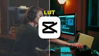 Tutorial Menggunakan LUT di Capcut PC