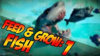 Feed & Grow: Fish | El Bibos Asesino