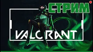 Гоняю Лохов / стрим Valorant