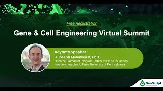 Response to Second Generation CAR T Cell Therapy It Takes at least Two to Tango