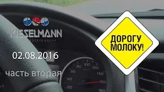 Дорогу молоку 2016 часть вторая