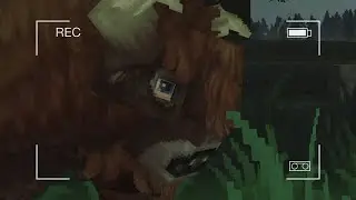 Hytale Dance Party