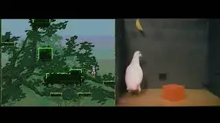 My Awful Jump King Attempt VS Pigeon Intelligence Test 🥀🤣
