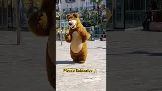 We found a bear in Valencia 