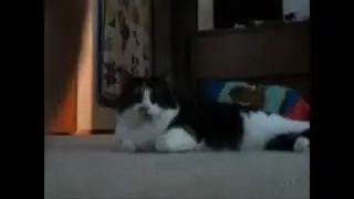 Alex Mini Action Movies - part 3