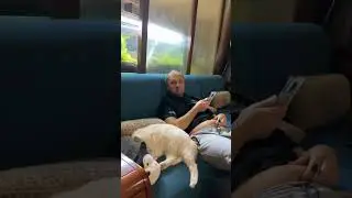 снимают пузико Зубарева 