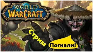 World of Warcraft | Sirus-x1 | Качаю паладина Рестрим на Twitch VK Play  #exizor #wow #sirus