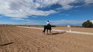 Tucson dressage club 