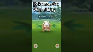 Wild Shiftry in Pokemon Go!! #short #shorts #PokemonGo