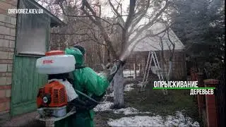 Опрыскивание деревьев