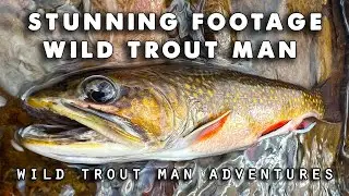 Wild Trout Man Fly Fishing