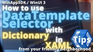 WinUI 3 | DataTemplateSelector with Dictionary in XAML | WinAppSDK | Tutorial | C# | .NET