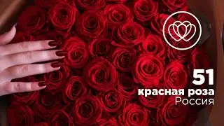 51 ароматная красная роза 40 см (Россия)