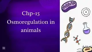 Osmoregulation in animals | Osmoconformers and Osmoregulators | class 12 biology | chp 15