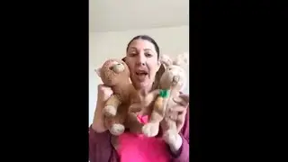 Nefes Arkadasi ile Nefes, Şükran Kavanozu Yapımı ve Çocuklar için Teşekkür Meditasyonu