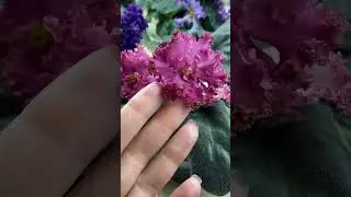 Обзорчики 21.04 ч.3