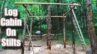 Will Survives Battling Bears and Building the Dream Cabin!
