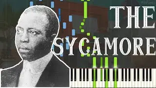 Scott Joplin - The Sycamore 1904 (Ragtime Piano Synthesia)