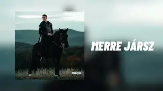 T. Danny - MERRE JÁRSZ