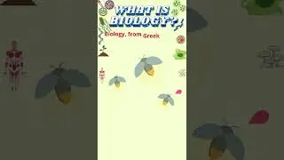 Online BIOLOGY Lessons #biology  #ibbiology #gcsebiology #igcsebiology #cbsebiology  #alevelbiology