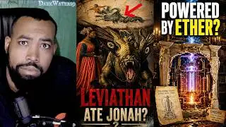 Disturbing Videos That Broke My Understanding!