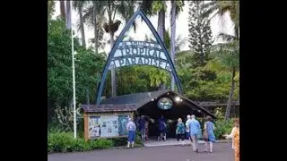 Smiths Family Luau in Kauai Hawaii Mommy Adventures