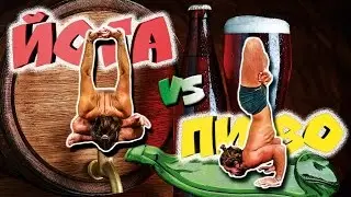 What the“Beer Yoga” is? Is it the quick enlightenment or the total degradation?