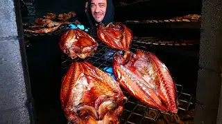 Smoked fish PARADISE in New Zealand + MUST EAT FISH & CHIPS- they're MOUTHWATERING