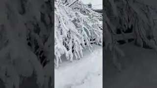 Kilis Kürt Dağı'ndan Sibirya'yı Andıran Görüntüler.