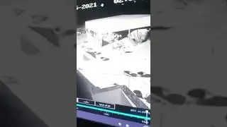 Нападение волков на овец