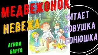 Медвежонок невежа