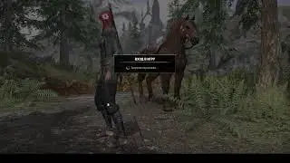 The Elder Scrolls Online