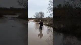 Плыть или не плыть 