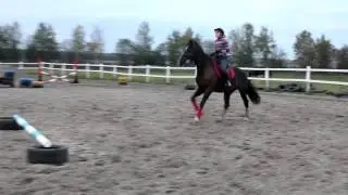 Гордый и Юля