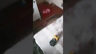#мем #chickengun #memes #skibiditoilet #чикенган #automobile #самолет #roblox #funny #aviation