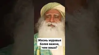 Чья жизнь важнее?