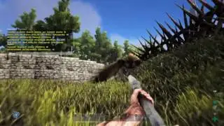 ARK: Survival Evolved Failed raid Lol