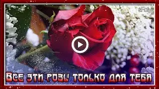 Все эти розы только для тебя!