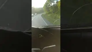 самосвалова каталова