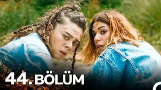 Avlu 44. Bölüm (FİNAL) | Her Şey Bitti Mi?