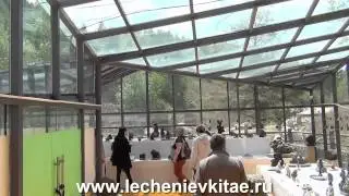 Лечение в Китае. Экскурсия в сад камней.