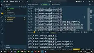 JS waybackurls bug bounty tools