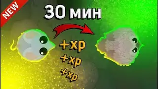 ЛЕГЕНДАРНЫЕ ЖИВОТНЫЕ В MOPE.IO, ПЫТАЮСЬ СТАТЬ ИМИ ЗА 30 МИН!