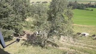 Гарми хаво дар Германия.