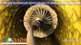 Заказать видео AnimaLab.ru