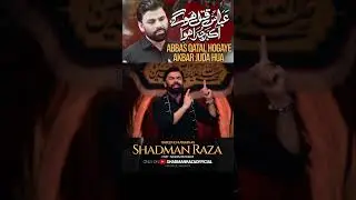 Hussain Reel5 SRBAbbas (A.S) Qatal Hogaye Akbar (A.S) Juda Hua | Shadman Raza | #shadmanraza