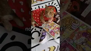Не ухаживает и подарки не дарит 