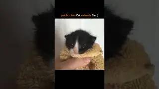 Осторожно - наследование!