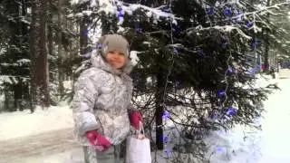 Новый год в Карелах!